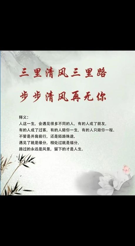 步步清风再无你啥意思，步步清风再无你含义解析