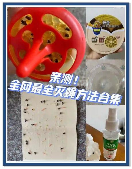 驱苍蝇最有效的方法
