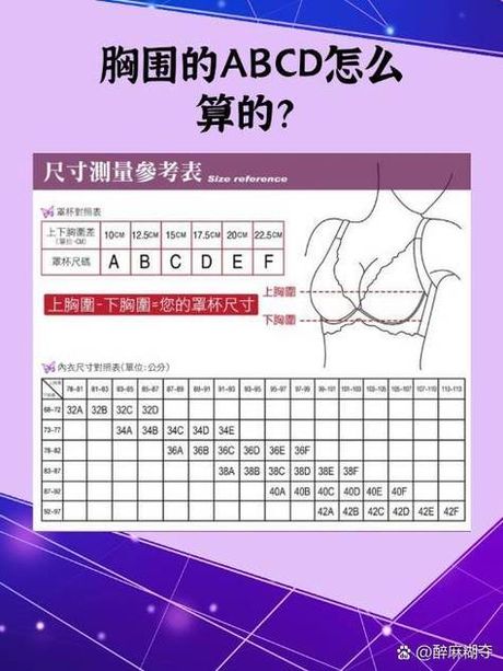 80B胸围尺寸详解