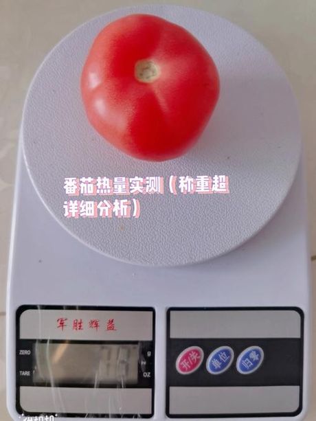 一个西红柿多少克？