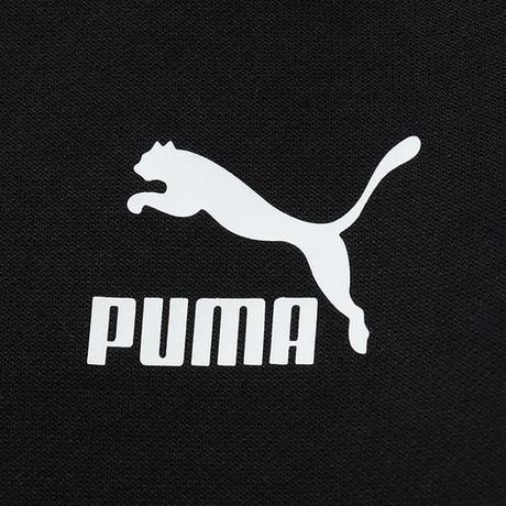 彪马怎么读，彪马（PUMA）怎么读？