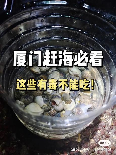 大海螺哪里不能吃：揭秘海洋美食的安全隐患