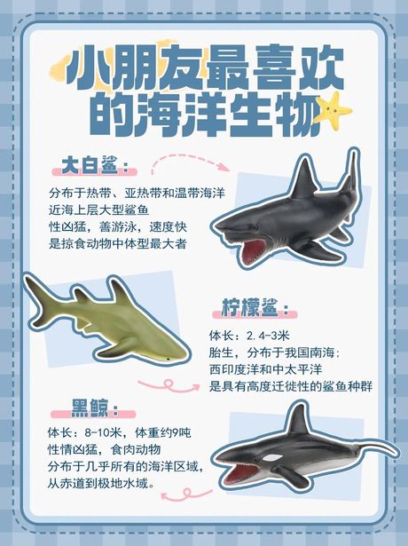 探索海洋生物的奥秘：蝠鲼的正确读音