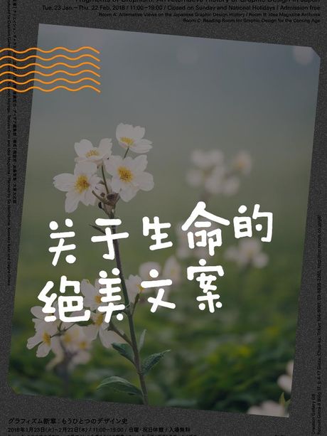 衰老：生命旅程的自然篇章