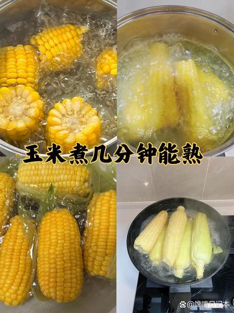 粘玉米煮多久能熟？
