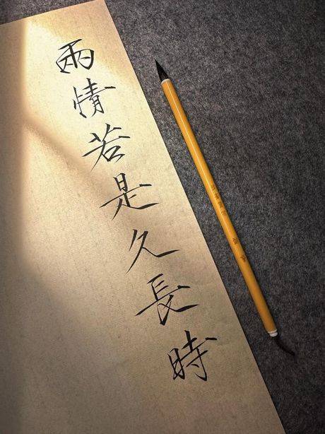 两情若是久长时 又岂在朝朝暮暮什么意思，两情若是久长时，又岂在朝朝暮暮