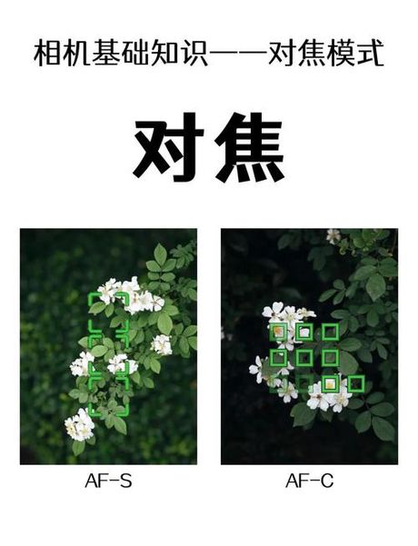 对焦模式：摄影技术的新进展