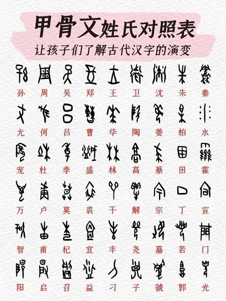 又双叒叕：汉字的趣味与重复之美