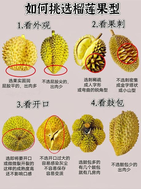 榴莲打开全攻略