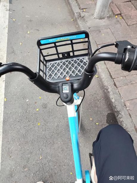 共享汽车：自由停还是需规矩？