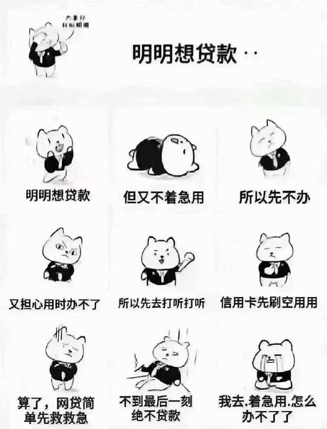 马上贷款：快速了解与选择指南