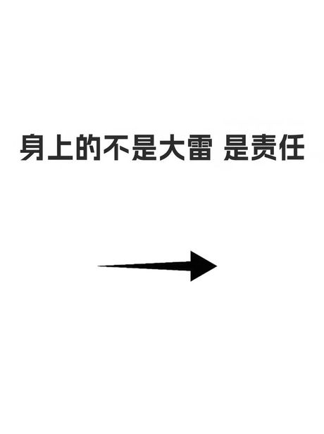 雷人什么意思