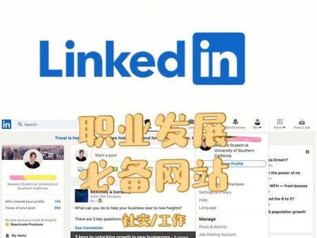 领英：职业社交网络的领航者