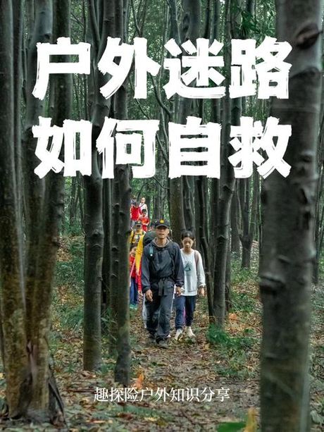 野外迷路求生指南