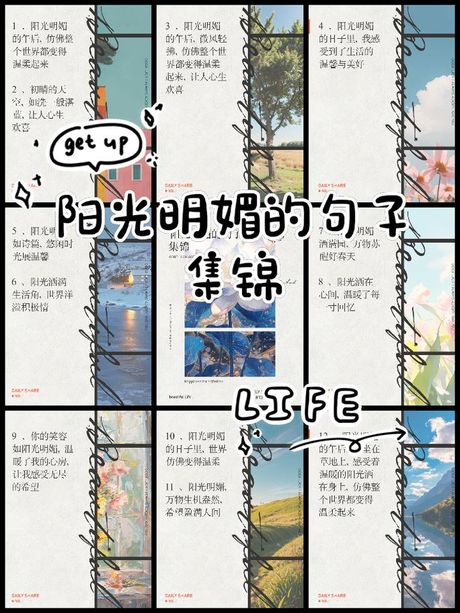 明媚的意思