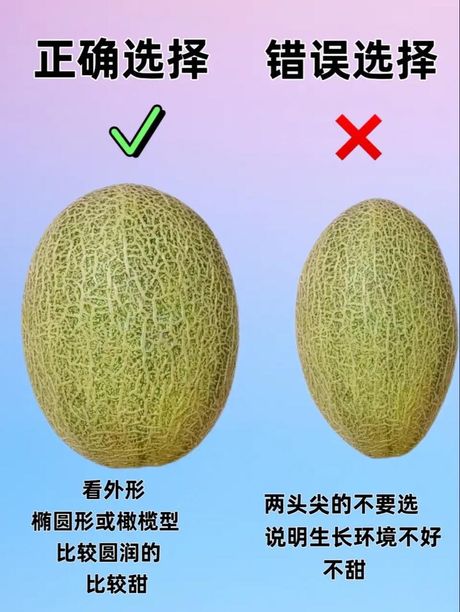 哈密瓜的食用方法