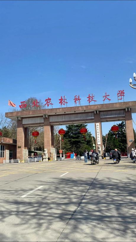 西北农林科技大学：成就与展望