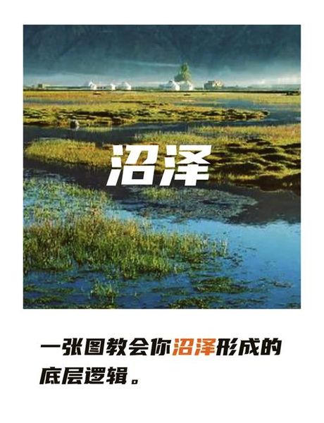 沼泽形成原因，沼泽的形成原因