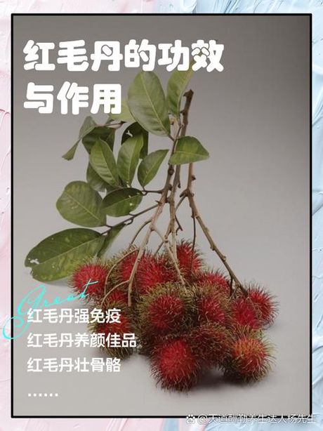 红毛丹怎么吃肉不粘模