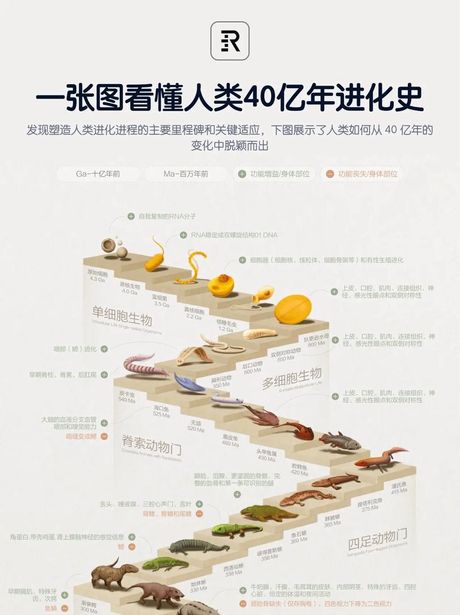 人类起源的探究：从进化到现代
