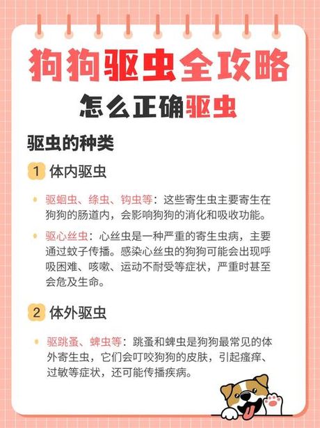 宠物驱虫怎么驱