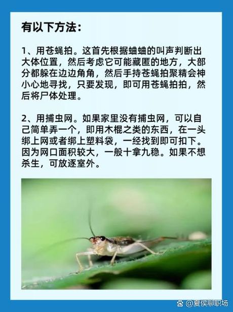 家里有蟋蟀怎么办：原因与解决方案