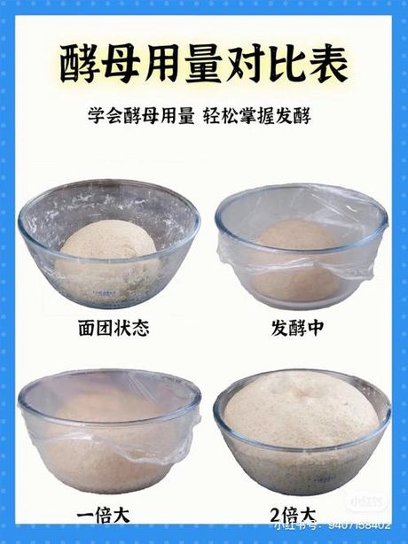 面粉的发酵方法及用途