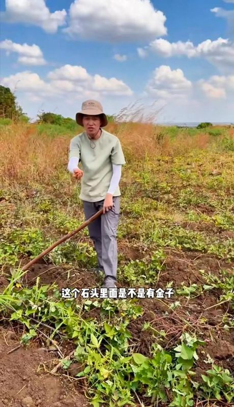 苏喂：一个跨文化的现象