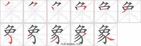 象笔顺怎么写，如何正确书写汉字“象”的笔顺