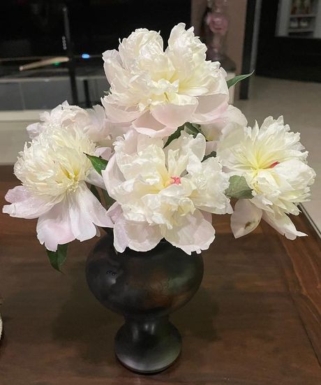 脂粉：从古至今的美丽象征