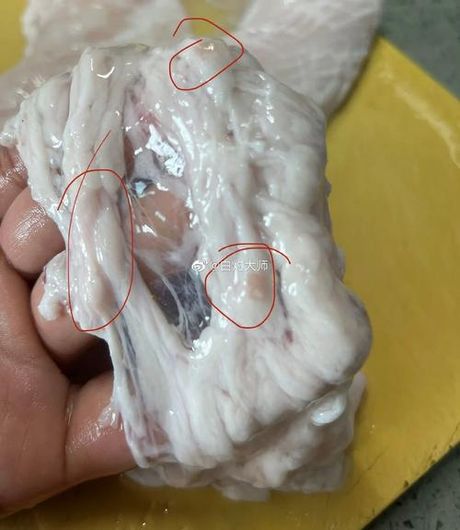 猪大肠清洗全攻略