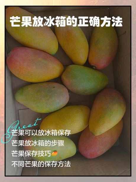 芒果可以放冰箱吗？