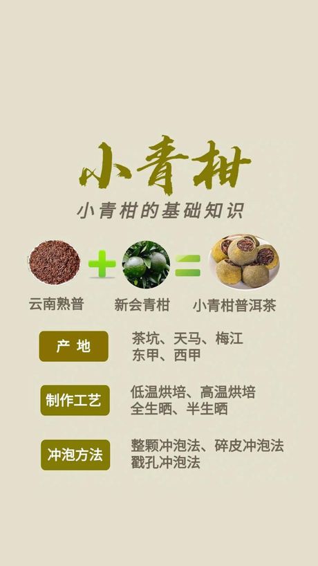 诤友：真诚的劝谏者