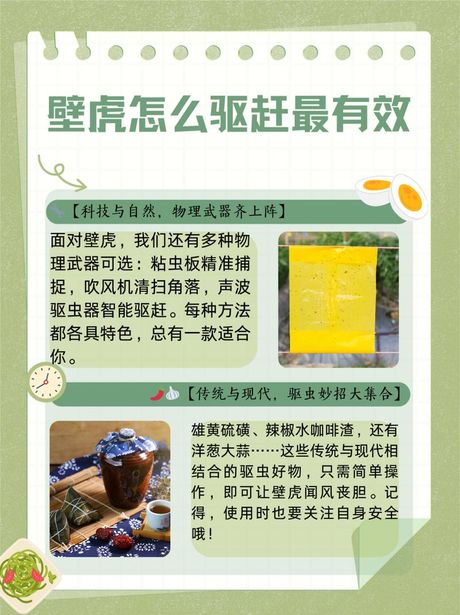 怎么驱赶壁虎最有效