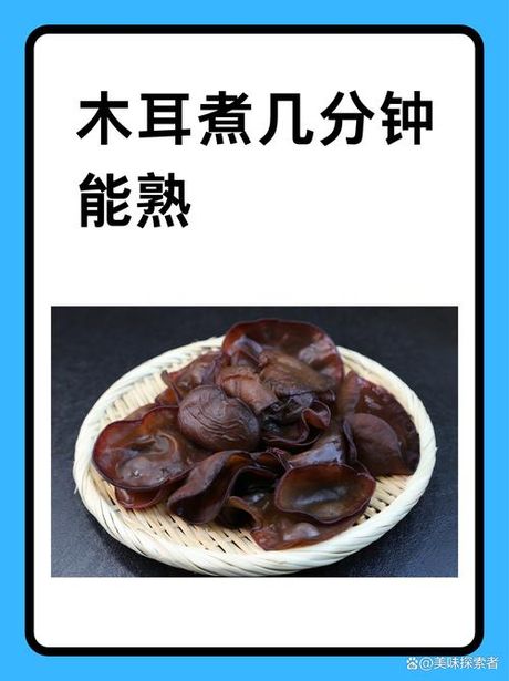 木耳要煮多久才熟
