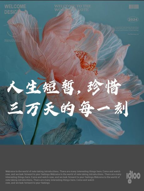 且行且珍惜：把握当下，珍爱每一刻