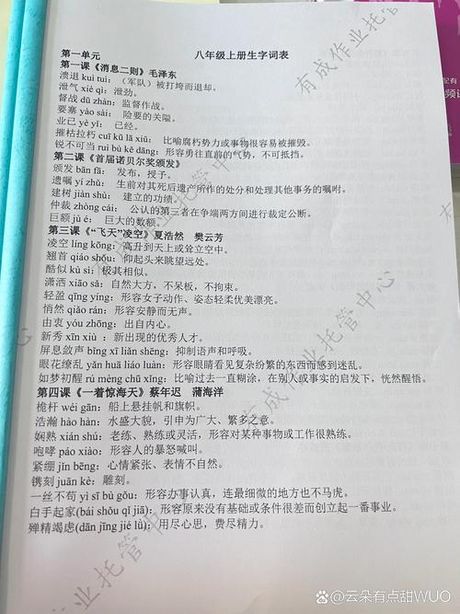 解释的拼音怎么写
