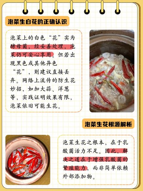 泡菜坛子起白怎么补救，泡菜坛子起白的补救方法与预防措施