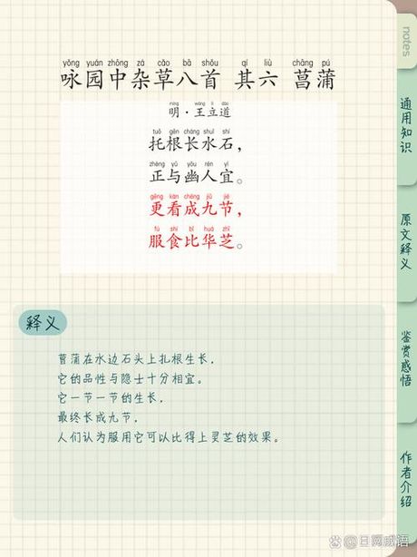 菖怎么读，探秘汉字“菖”的读音与含义
