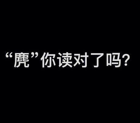 麂子怎么读