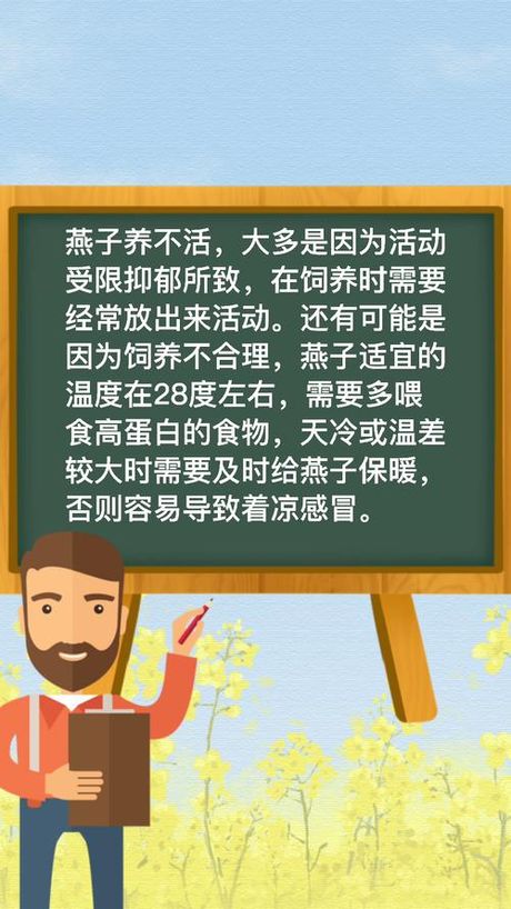 为什么人不能养燕子