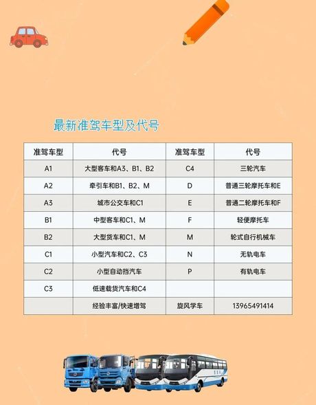 B1驾照费用全解析