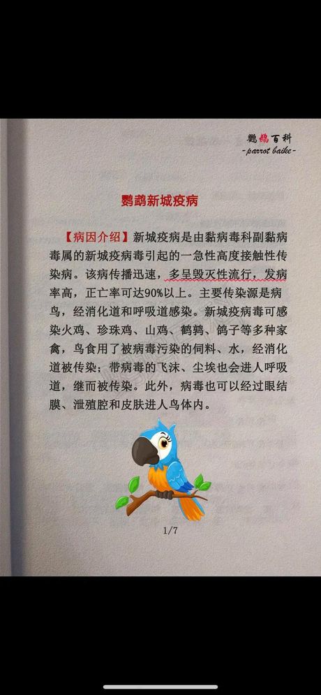 新城疫的治疗方法