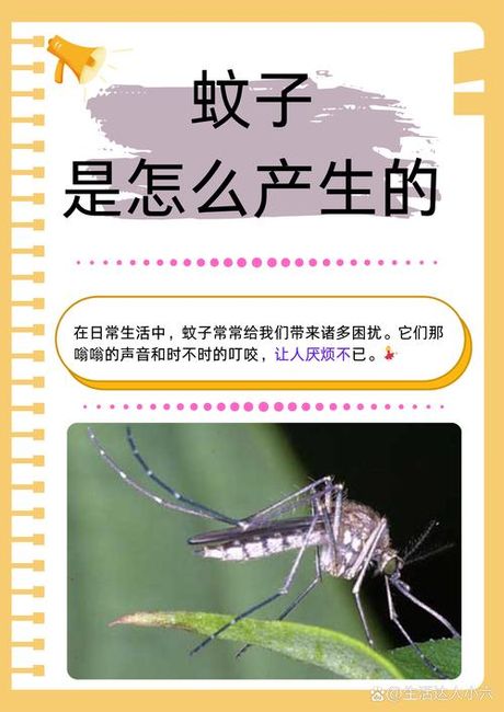 蚊子是怎么产生的