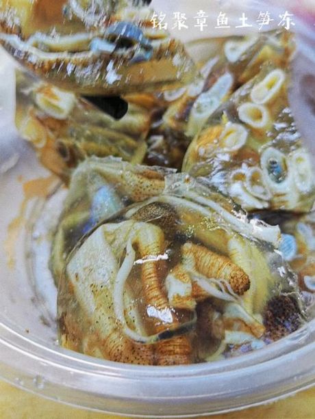 海蚯蚓的美味烹饪方法