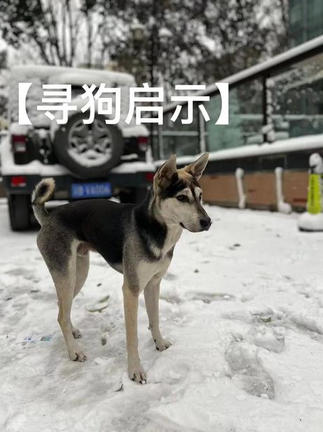 “Nicole”这个名字的正确读法