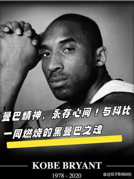 黑曼巴什么意思，黑曼巴的意义及黑曼巴精神