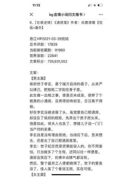 小说BG：含义与背景