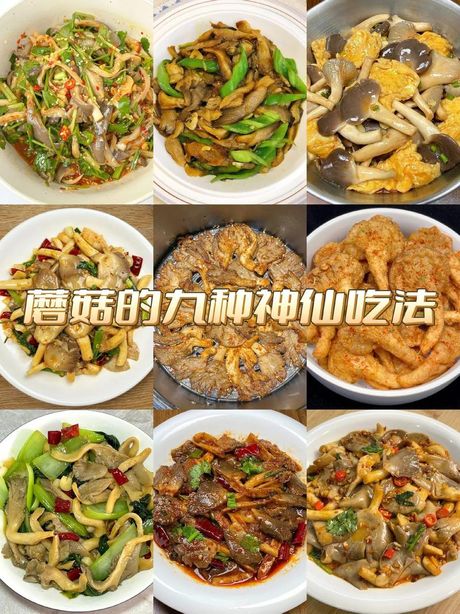蘑菇怎么做好吃法大全