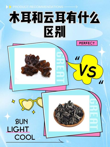 木耳是什么意思